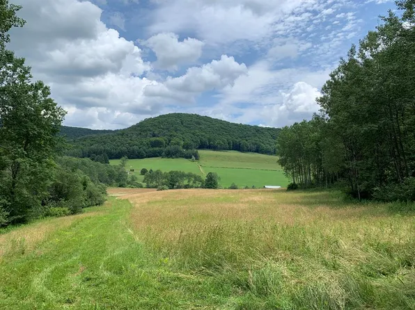 0 Sartwell Creek Rd, Pt Allegany, PA 16743