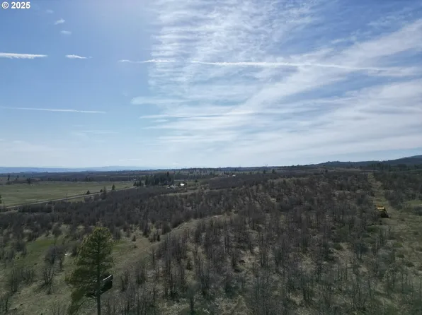 13 Timber Rd, Roosevelt, WA 99356