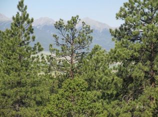 559 Arapaho Rd, Westcliffe, CO 81252