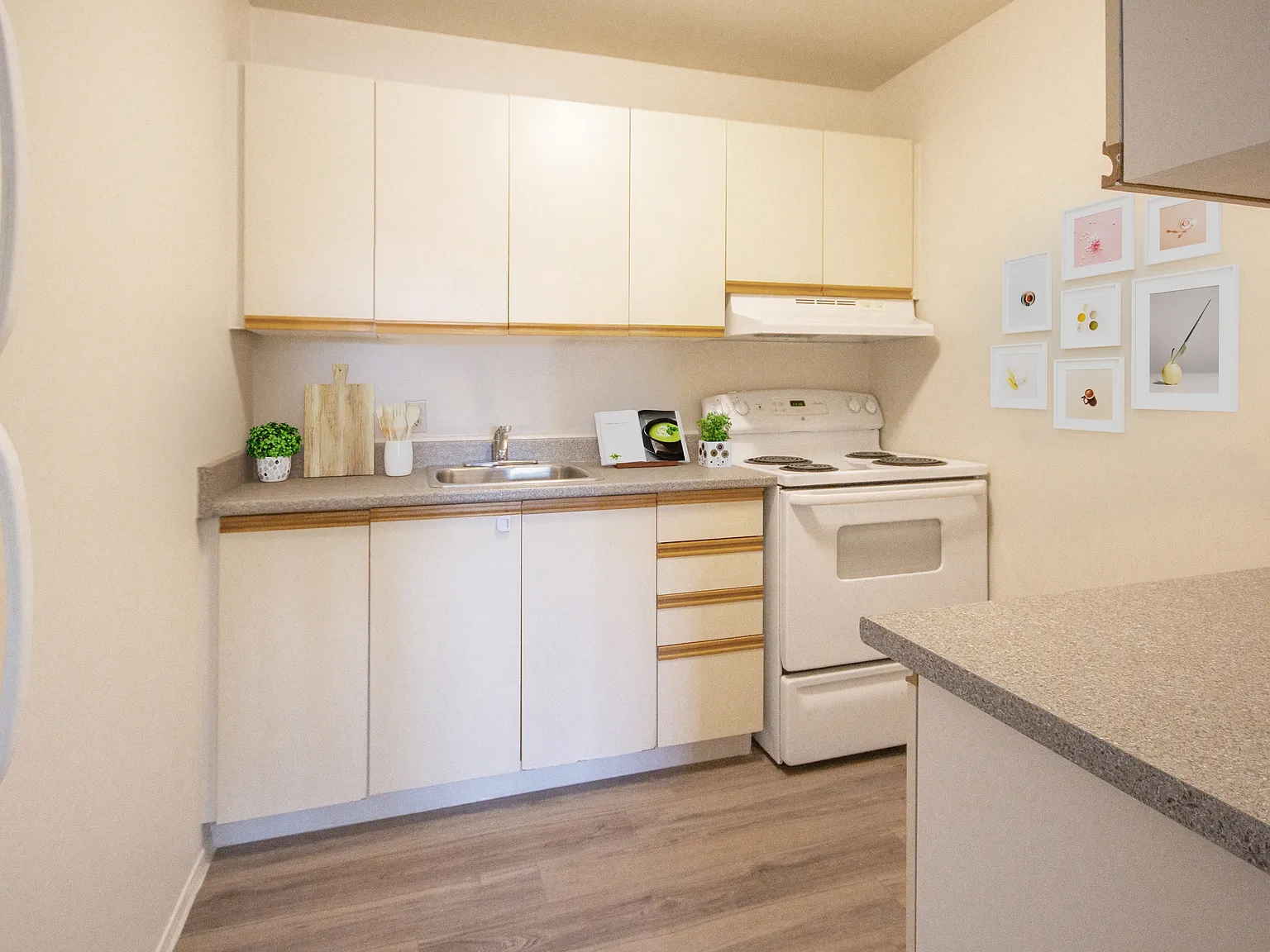 Bayridge Court Apartments — Photo 1