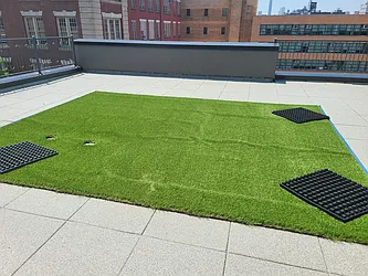 Rented by The Hamilton Group