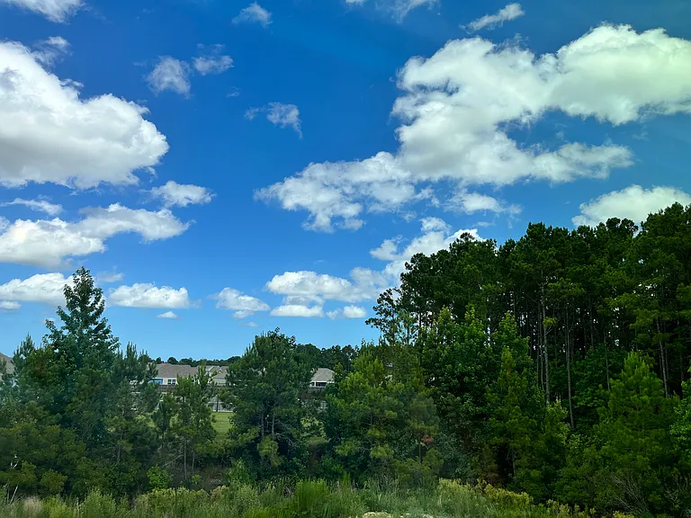 8293 Paramount Point — Photo 16