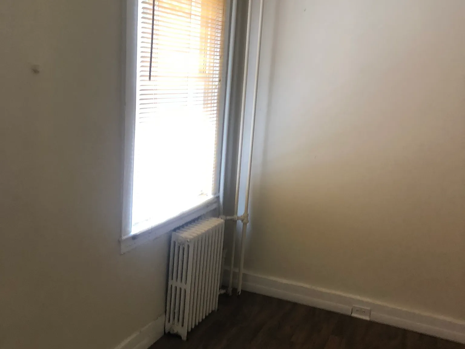 1 bed, 550 sqft, $950 — Photo 2
