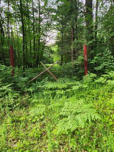 Pere Cheney Rd, Grayling, MI, 49738