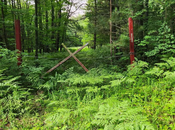 Pere Cheney Rd, Grayling, MI 49738