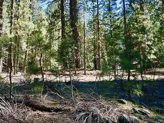 2nd image of 11 Paiute Trl #3