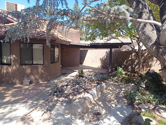 Back yard
