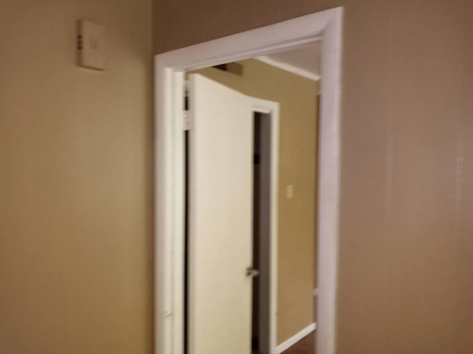 1 bed, 800 sqft, $1,150 — Photo 2
