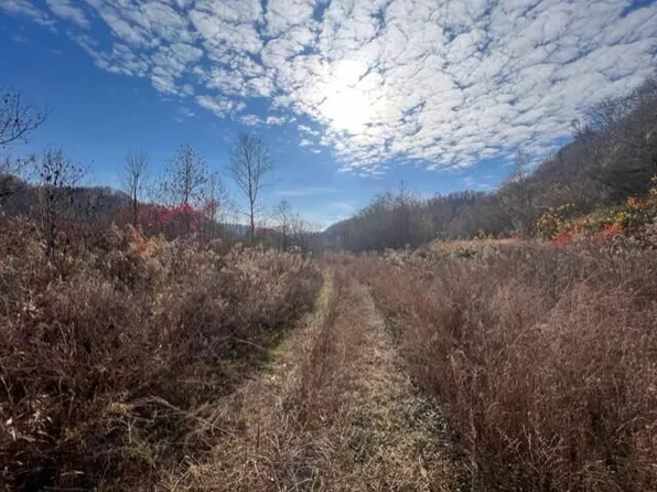 0 Salem Church Rd, Harold, KY 41635