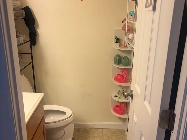 428 Springwood Place Ct — Photo 25