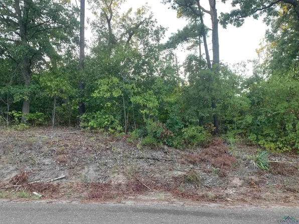 Raintree Cir, Big Sandy, TX 75755