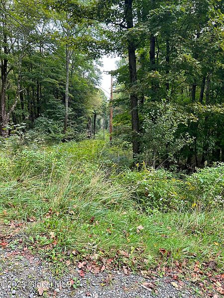 2nd image of 262 Crandall Road