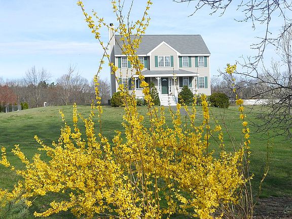 In Spring