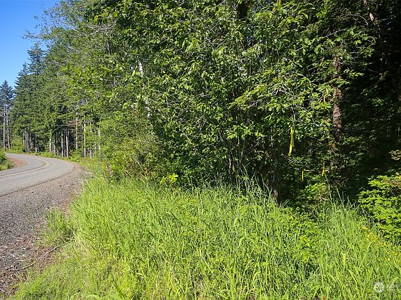 On Map - Points B & C.  Point B is the Yellow Ribbon onthe tree & Point C is the Tall tree on the left side of picture.  This marks the "Triangle" Piece of thr Property.  The "Panhandle is still running along to the right of picture. Points are estmated on Pictures. Stakes are present to show points and lines.>