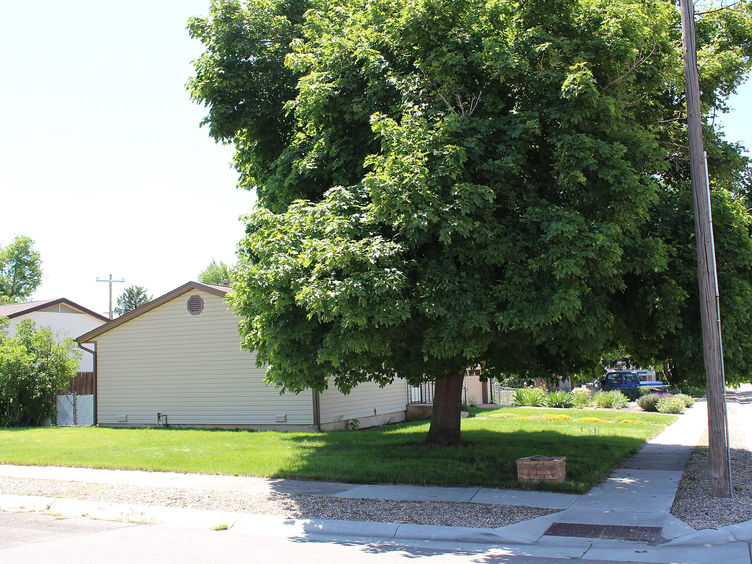 3 bed, 1025 sqft, $1,600 — Photo 4