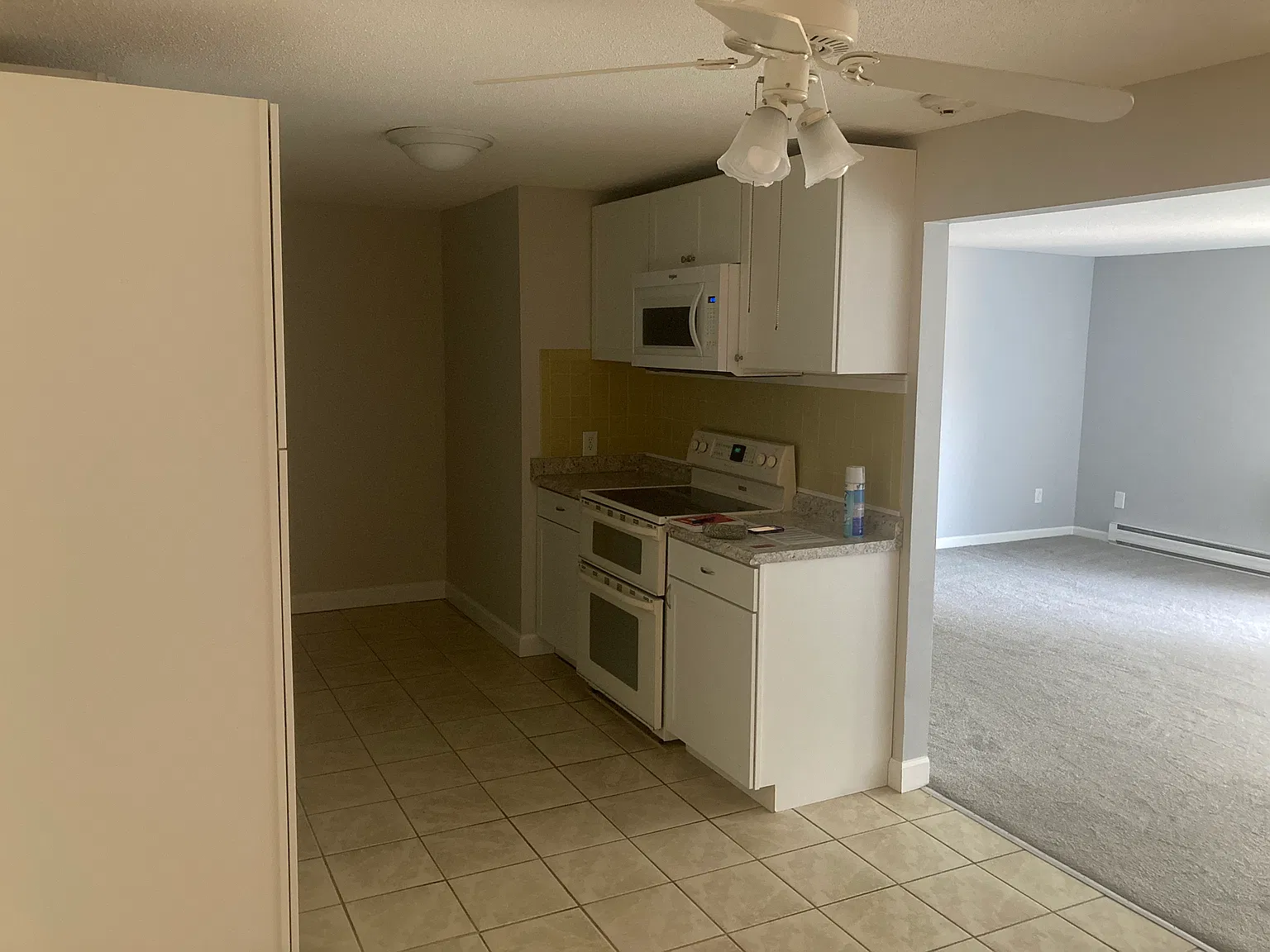 1 bed, 804 sqft, $1,600 — Photo 3