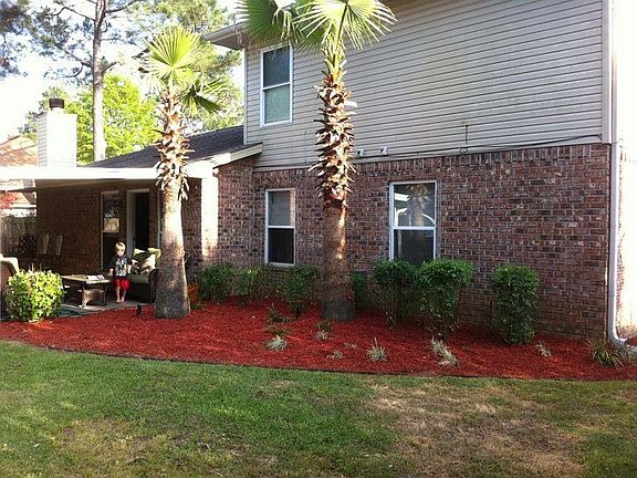 Back landscaping