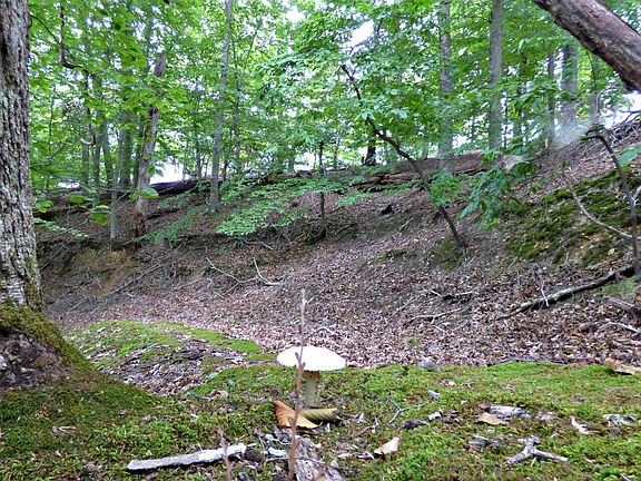 4th image of 21 Woods Ridge Rd
