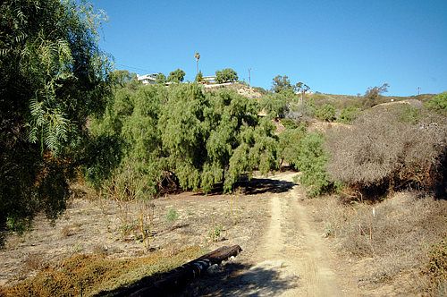 2nd image of 1061 Mission Dr