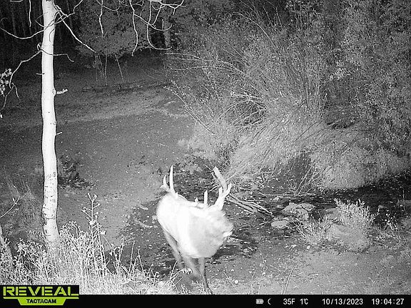 4th image of Divide Rd #35-38