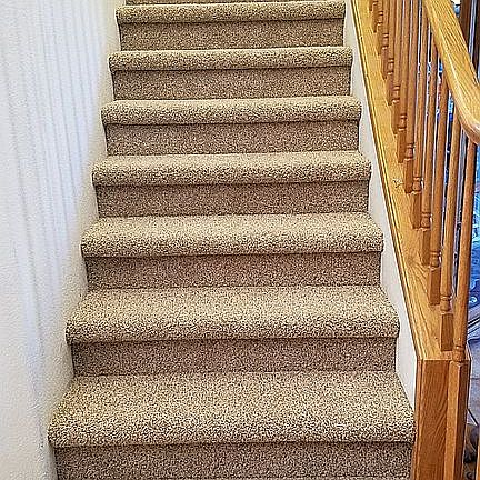 New Karastan Nylon Carpet