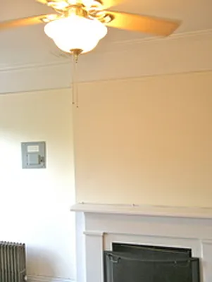 Rented by Rapid Realty Brooklyn Heights | media 10