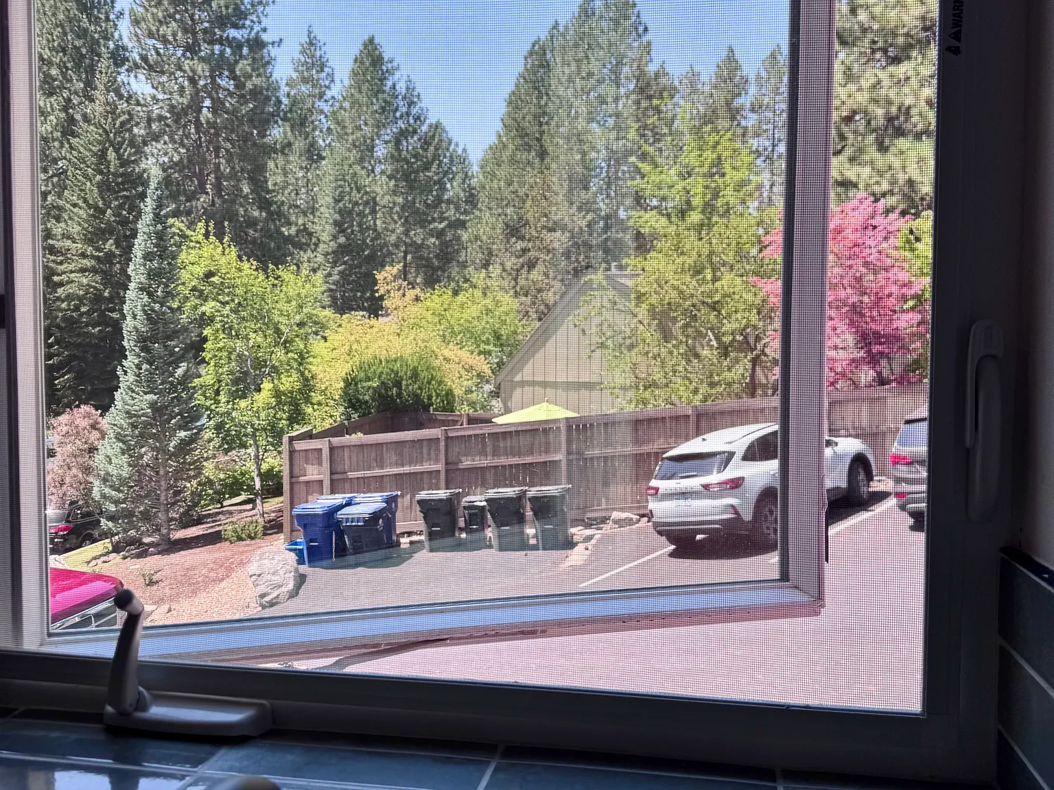 3 bed, 860 sqft, $2,600 — Photo 3