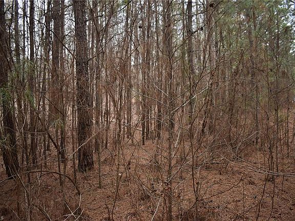 3rd image of 257 Piney Grove Church Rd Lot 2