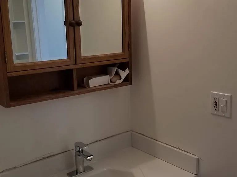 29W730 North Ave — Photo 44