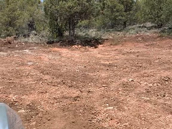 4th image of 541-200 Juniper Trl