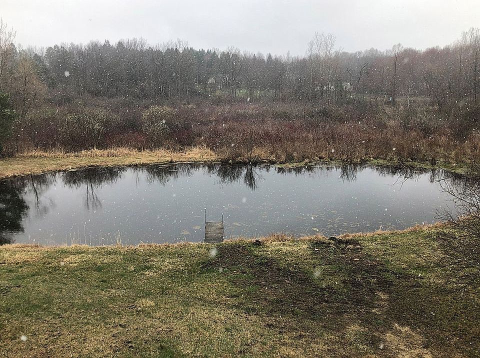 2nd image of 4530 Quintessence Dr