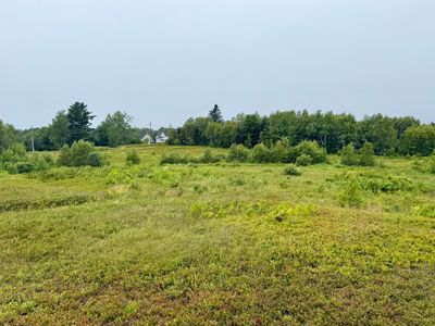 Lot 35 Guzzle Road, Gouldsboro, ME, 04607