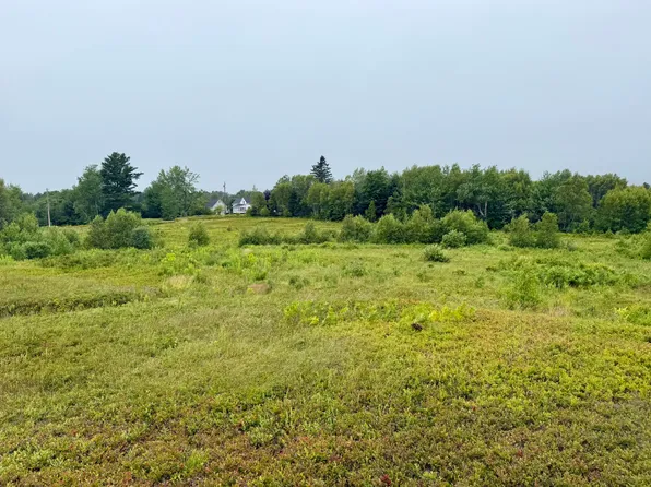 Lot 35 Guzzle Road, Gouldsboro, ME 04607