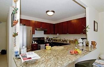 4th image of 30 E Huron St APT 4305
