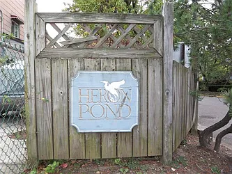 60 Pond Way #60 image 1 of 8
