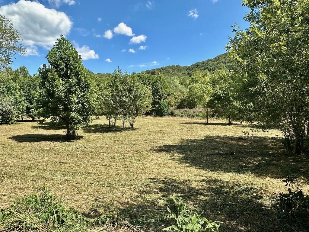 Real estate listing image