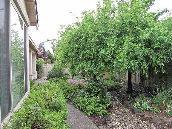5th image of 1554 Hackberry Ln