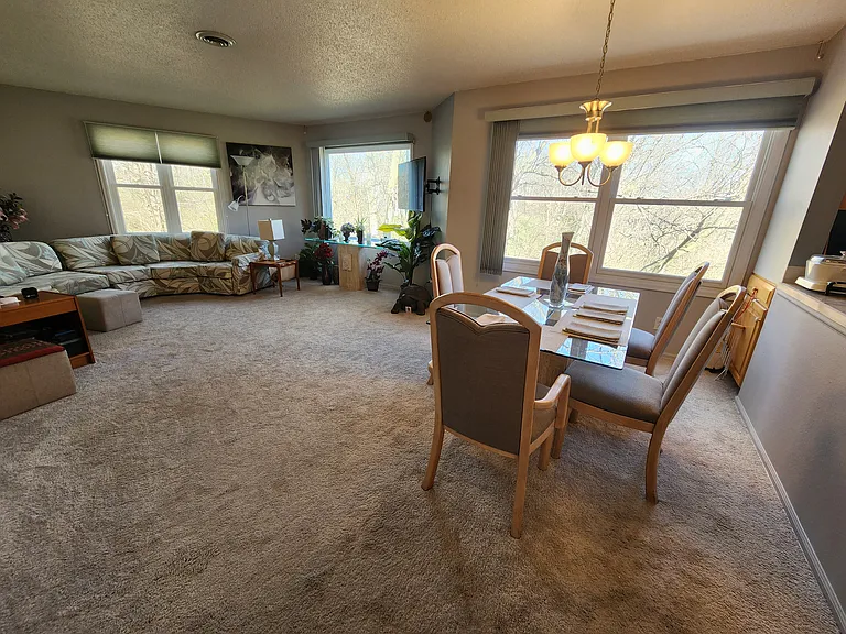 701 E Lowe Ave #411 — Photo 6