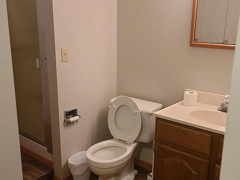 Basement Bathroom