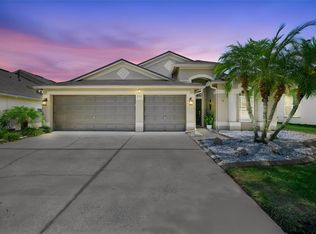 7318 Guilford Pine Ln, Apollo Beach, FL 33572