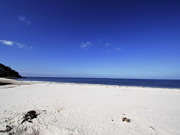 5th image of 235 White Sand Dr