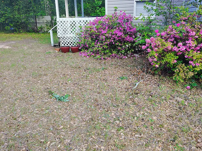 72 Rose Dr — Photo 7