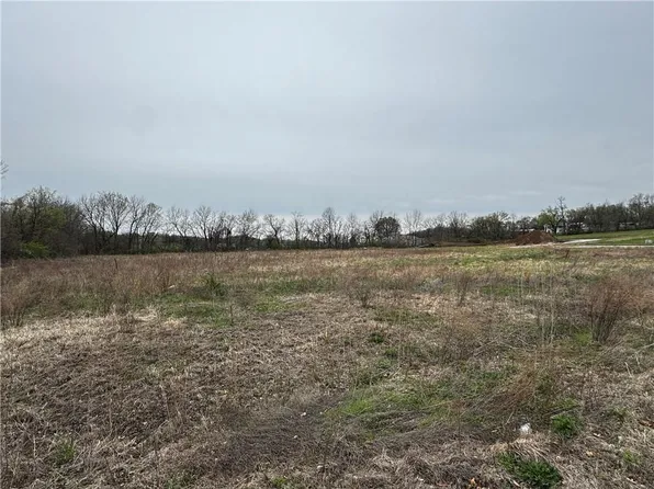 8 Cowgirl Ln, Richmond, MO 64085