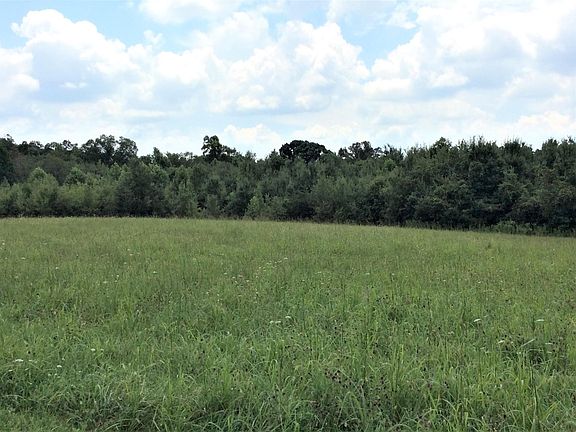 5th image of 0 Highway 127 N Lot 1 & 2