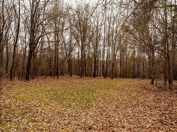 3rd image of 0 Oak Ridge Rd