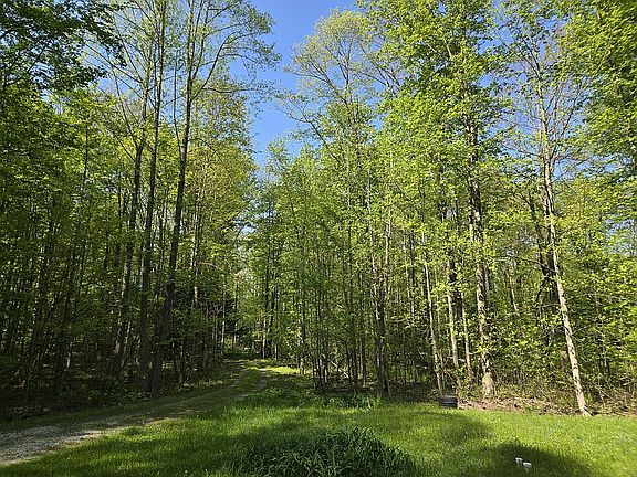 Driveway towards road
