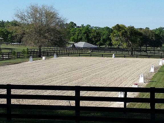 20 X 60 Dressage Arena