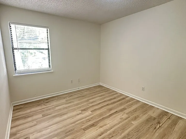 4790 Cinnamon Fern Dr — Photo 13
