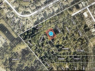 Lots 77 & 78 PARK FOREST BOULEVARD LOT 120, Mount Dora, FL, 32757