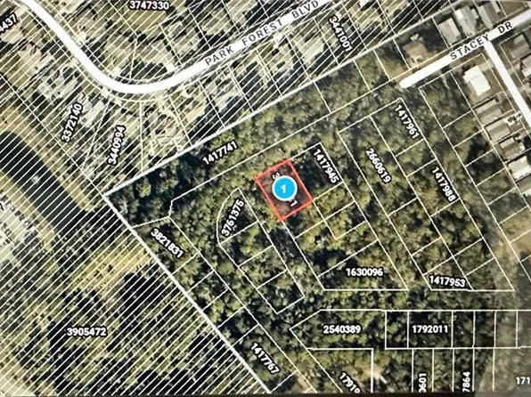 Lots 77 & 78 Park Forest Blvd Lot 120, Mount Dora, FL 32757